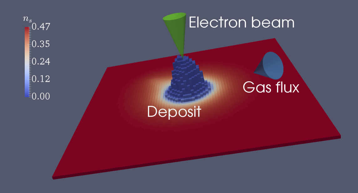 FEBID gas dynamics